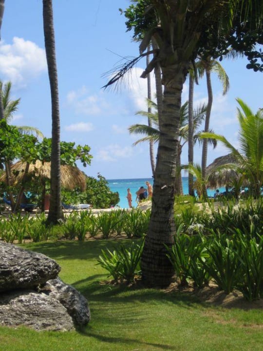 Grünanlagen Grand Palladium Punta Cana Resort & Spa