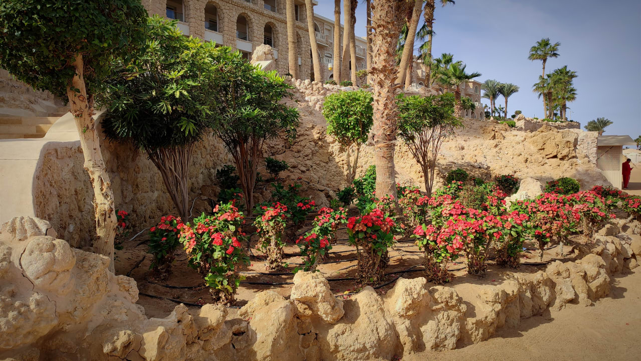 Gartenanlage Pickalbatros Citadel Resort