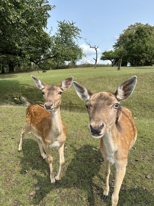 Gartenanlage Parkhotel St. Leonhard