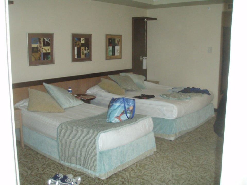 Zimmer sehr geräumig Royal Wings Hotel