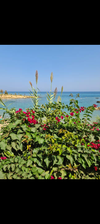 Ausblick Crystal Springs Beach Hotel