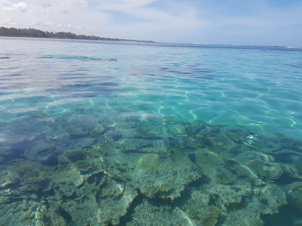 Snorkeling mit Glasbodenboot Crystals Beach Resort Belle Mare, a member of Radisson Individuals