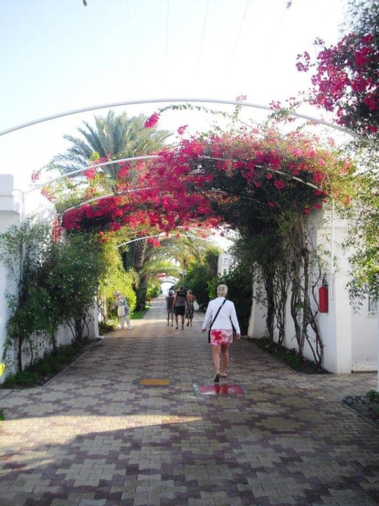 Weg zum Strand El Mouradi Club Kantaoui