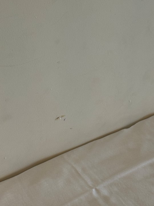 Zimmer Strandhotel Vigilante