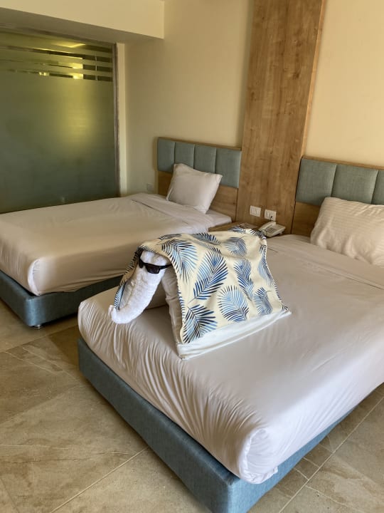 Zimmer Jasmine Palace Resort & Spa