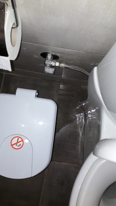 Zimmer Olympian Bay Grand Resort