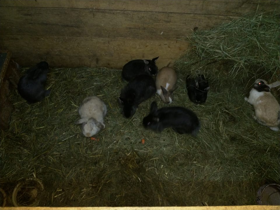 Sport & Freizeit PONYHOF  Killinger