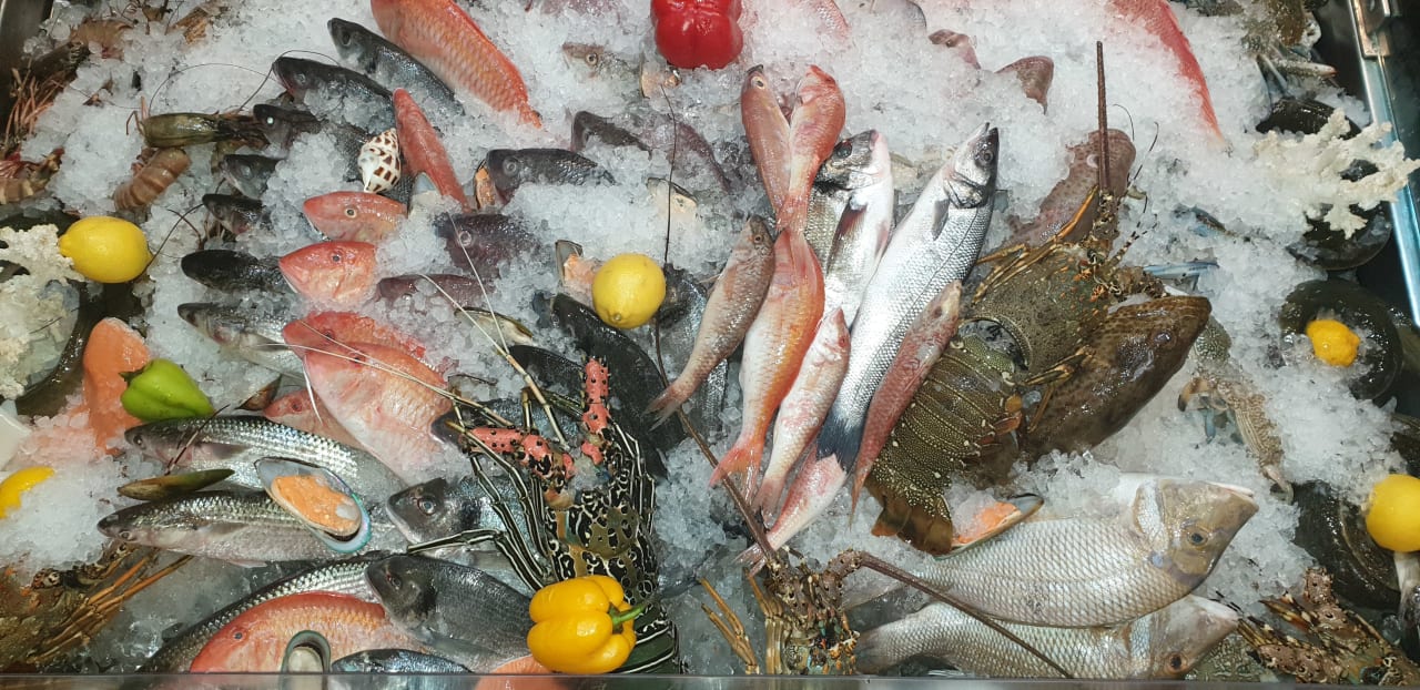 Gastro Wyndham Garden Ajman Corniche