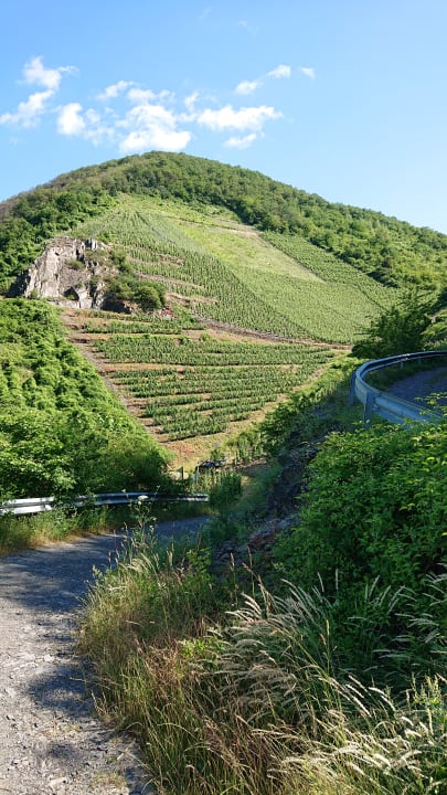 Ausblick Hotel Burgfrieden