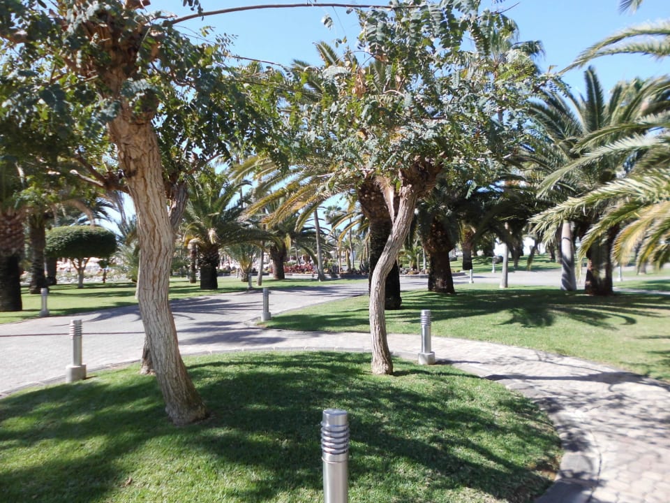 Gartenanlage Hotel Riu Gran Canaria