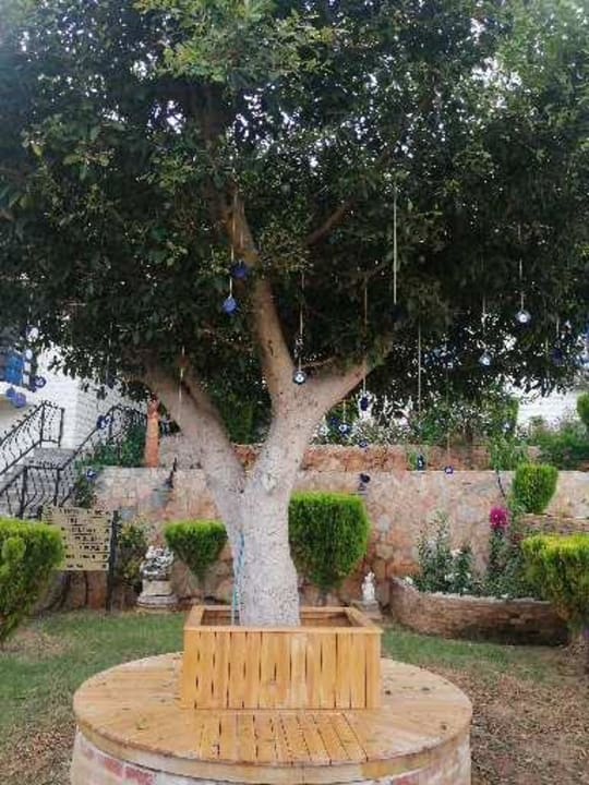 Gartenanlage La Finca Marina