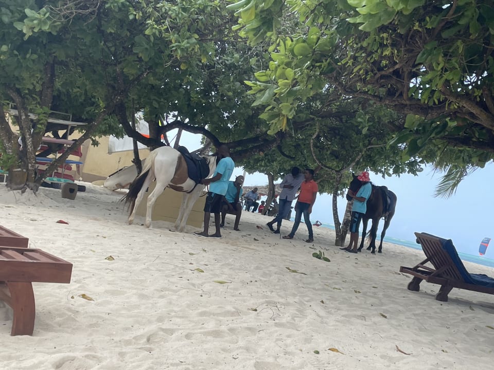 Strand Neptune Pwani Beach Resort & Spa