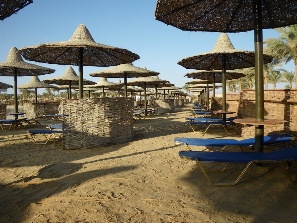 Der Strand immer sauber und gepflegt Steigenberger Coraya Beach - Adults only