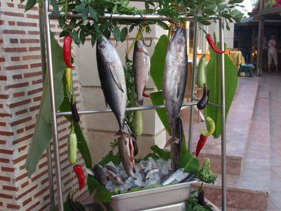 Fische für Galaabend Trendy Palm Beach (Adults Only, 16+)