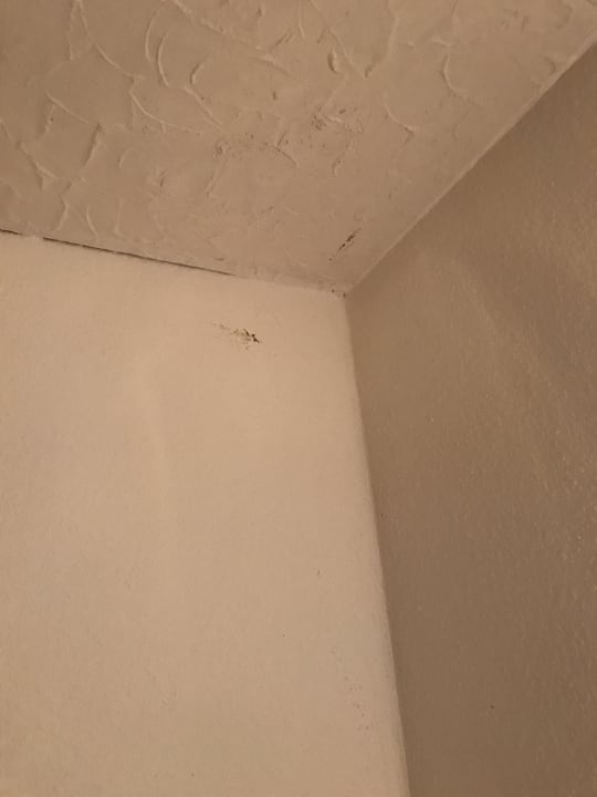 Zimmer Pension Am Deich