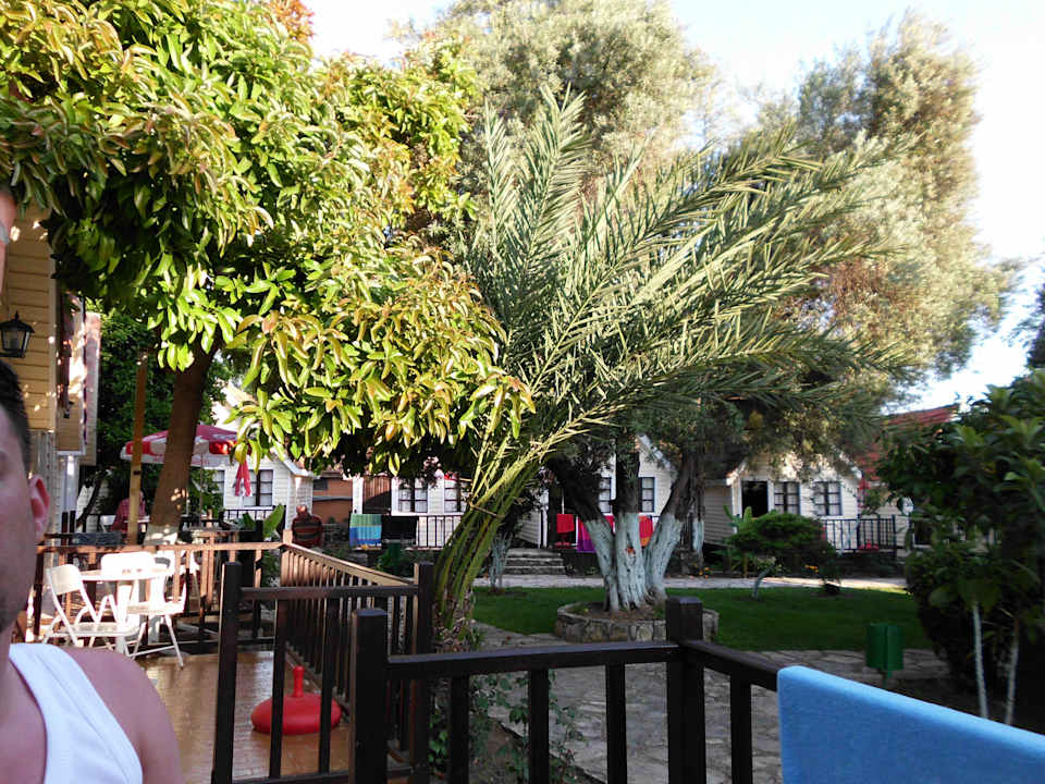 Blick aus dem Bungalow Clover Magic Nova Beach