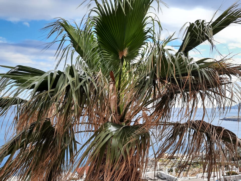 Sonstiges Hotel Kalithea Horizon Royal