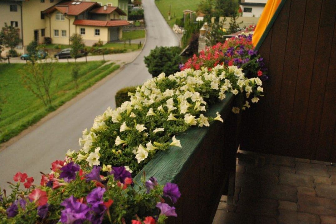 The balcony flowers Hotel Silberfux