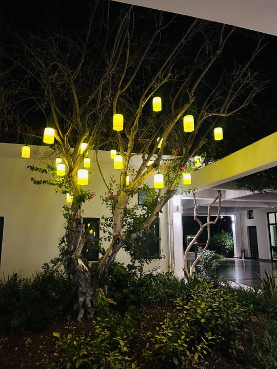 Gartenanlage TUI BLUE Sarigerme Park