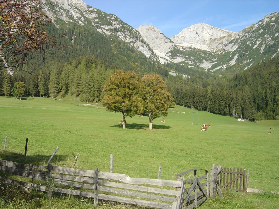 Blick zu den Bergen Appartement Fichte