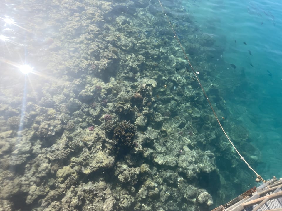 Strand Stella Garden Resort & Spa, Makadi Bay