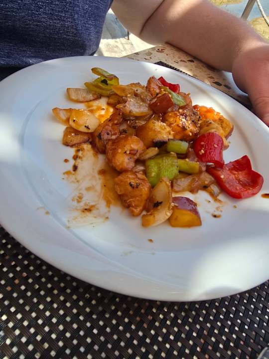 Gastro Seashell Vega