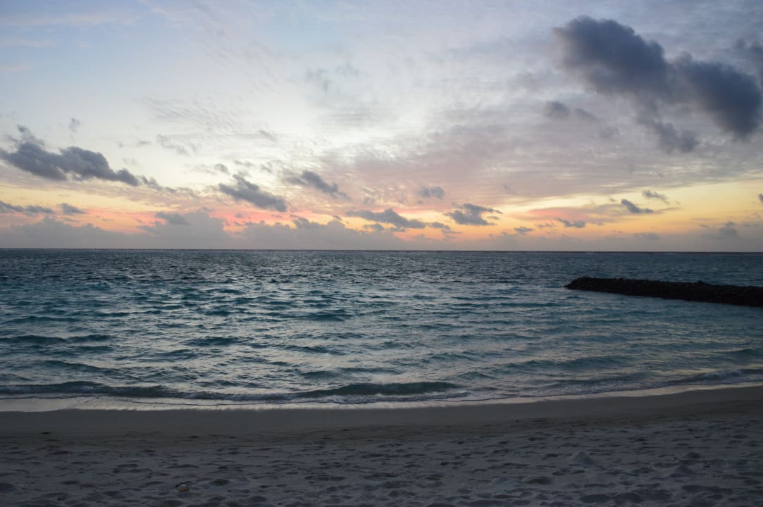 Strand Summer Island Maldives