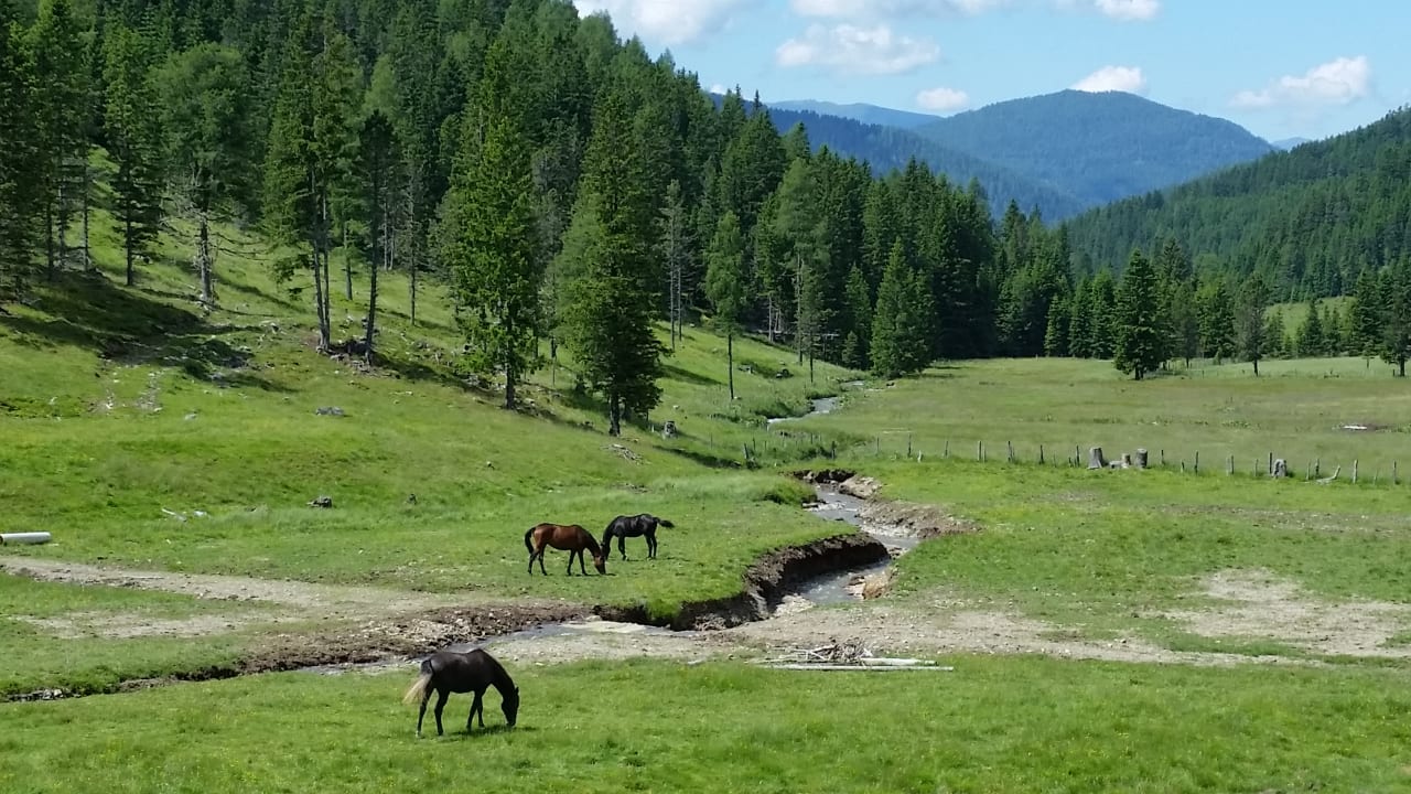Ausblick Appartements Sonnenhof Hochrindl