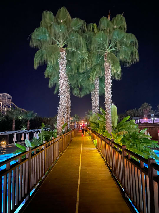 Gartenanlage Saturn Palace Resort Hotel