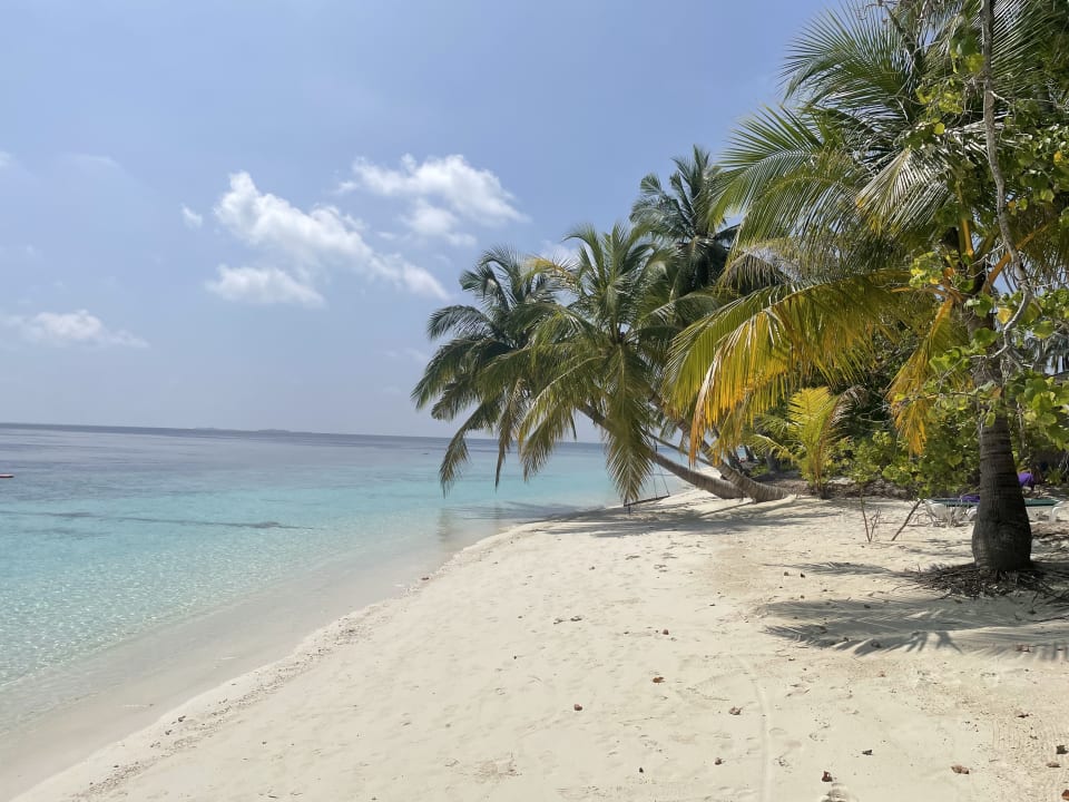 Strand Vilamendhoo Island Resort & Spa
