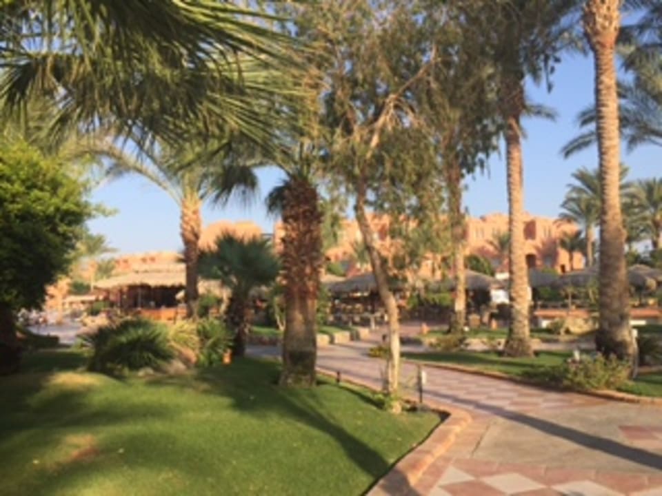 Gartenanlage Jaz Makadi Oasis Resort