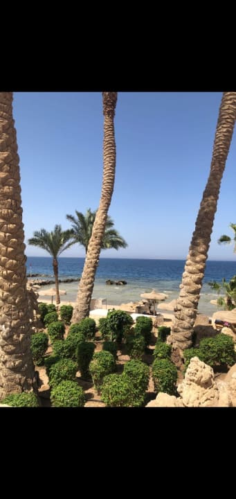 Strand Pickalbatros Citadel Resort