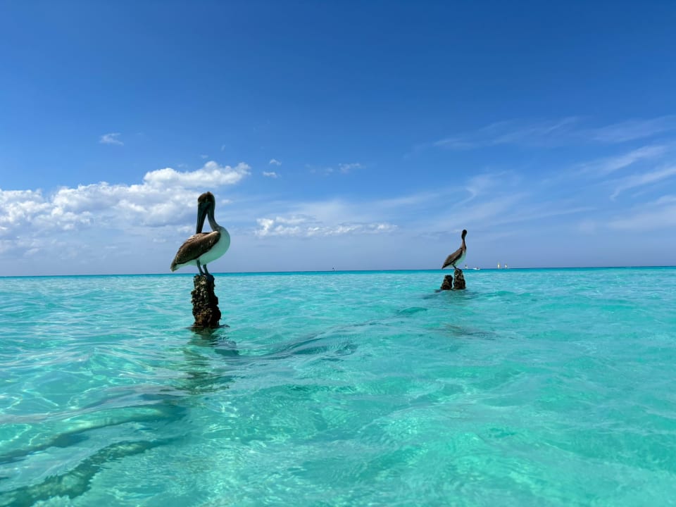 Strand Meliá Internacional Varadero