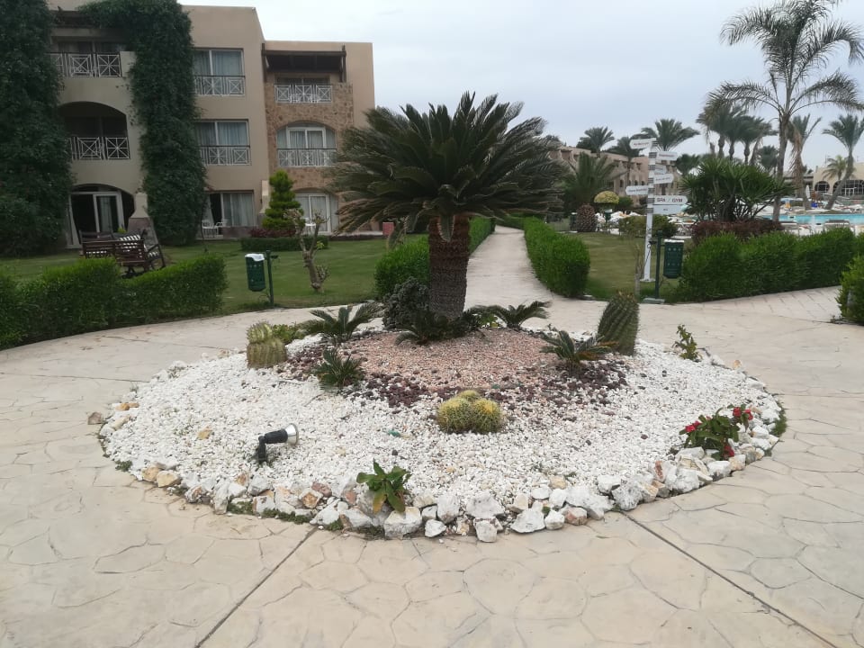 Gartenanlage Prima Life Makadi Resort