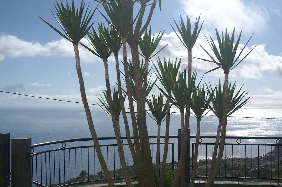 Garten Ferienhaus A Vigia