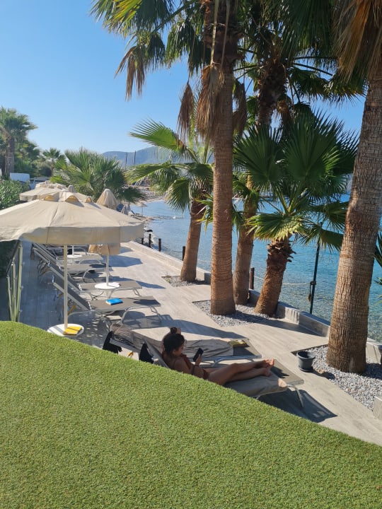 Ausblick TUI MAGIC LIFE Bodrum - Adult Only (16+)