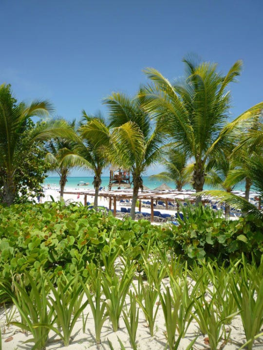 Einfach nur schön... Catalonia Playa Maroma