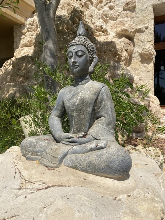 Gastro Makadi Spa - Adults only