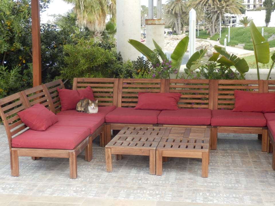 Nicht nur für Katzen sehr bequem Alexander The Great Beach Hotel