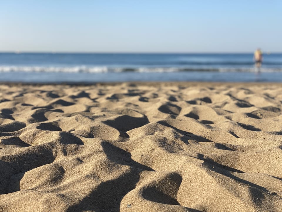 Strand Paloma Oceana