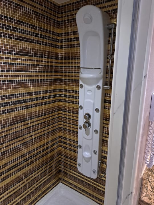 Zimmer Royal Taj Mahal Hotel