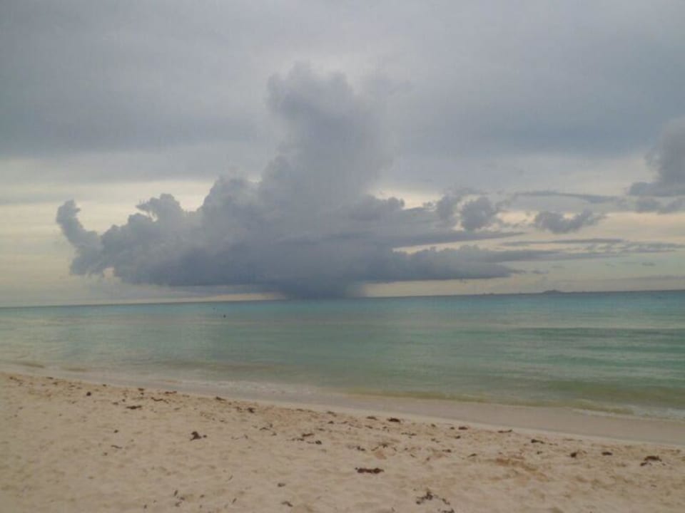 Traumhaft! The Reef Playacar