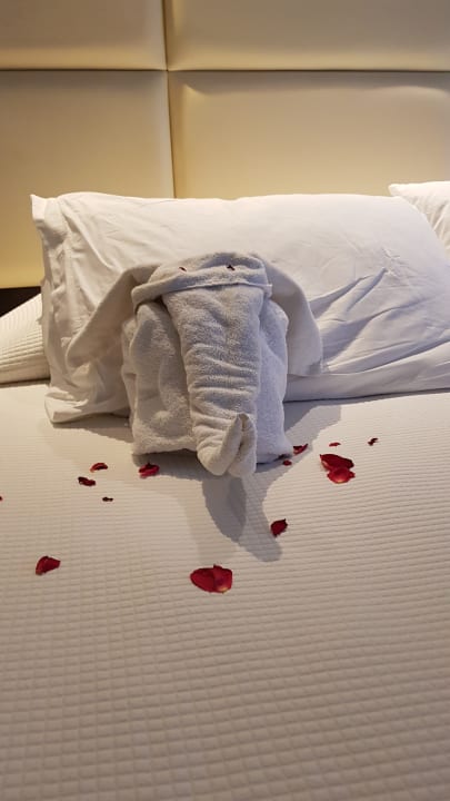 Zimmer TUI BLUE Oceanis Beach and Spa Resort