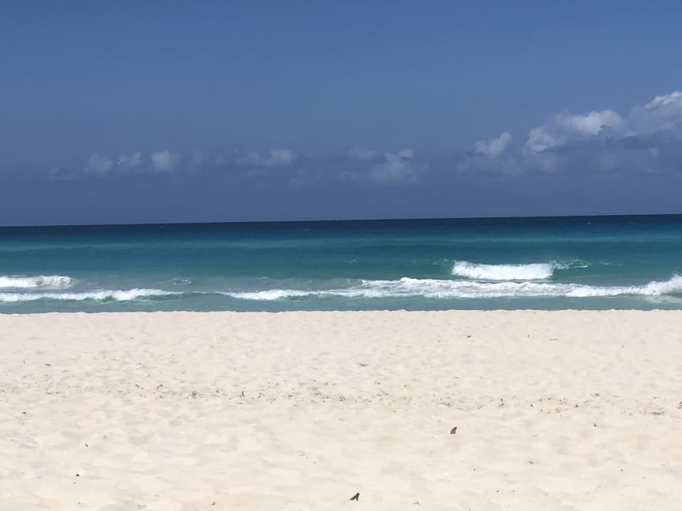 Strand Starfish Cuatro Palmas