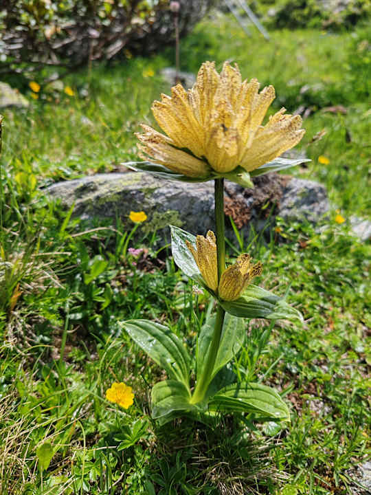 Sport & Freizeit Alpengasthof Eppensteiner
