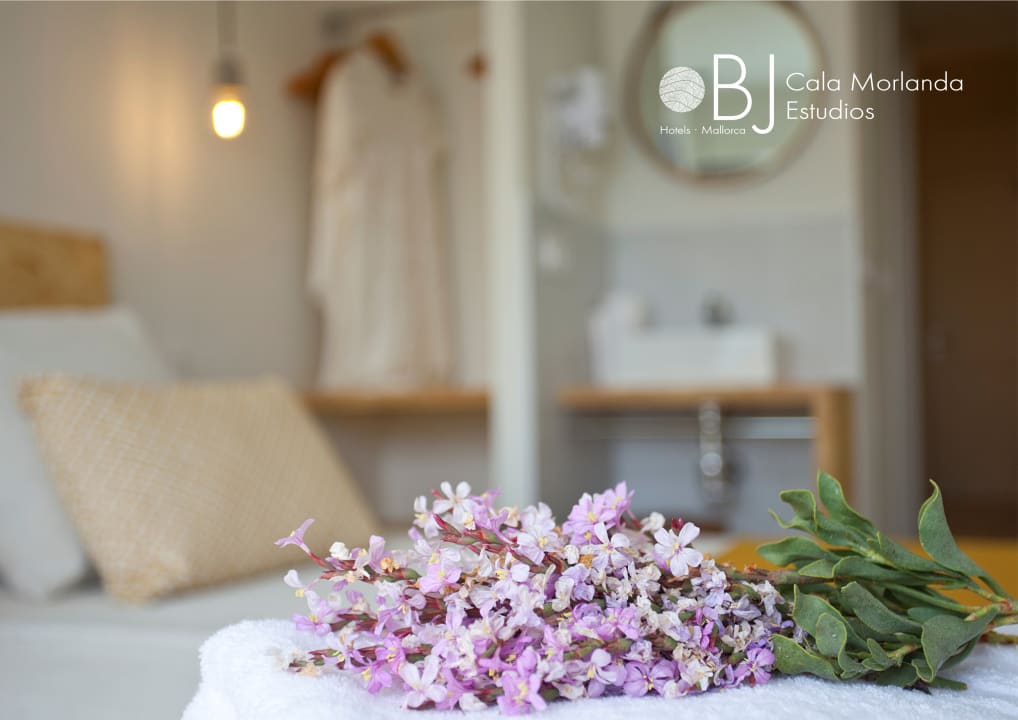 Zimmer BJ Cala Morlanda Estudios
