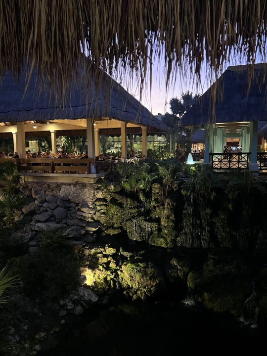 Gastro Iberostar Waves Tucan