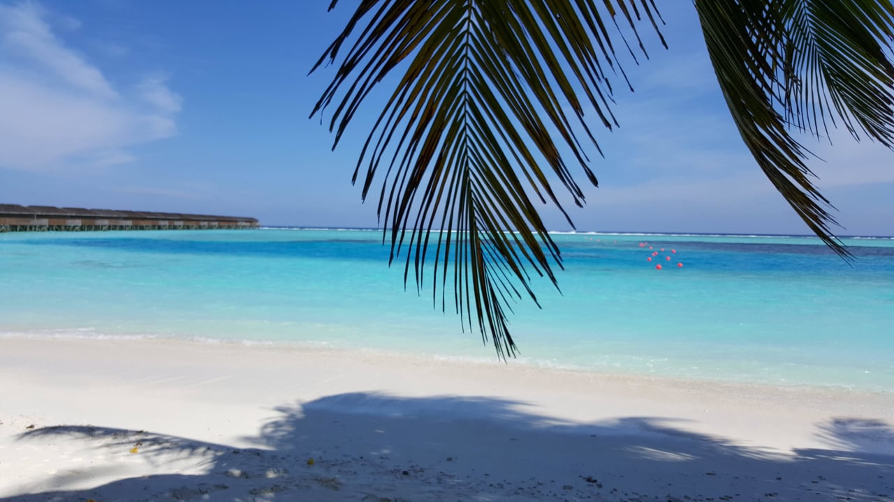 Strand Meeru Maldives Resort Island