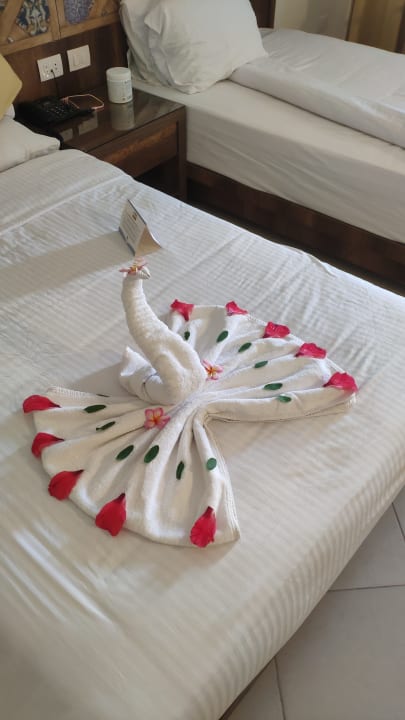 Zimmer Lazuli Hotel Marsa Alam