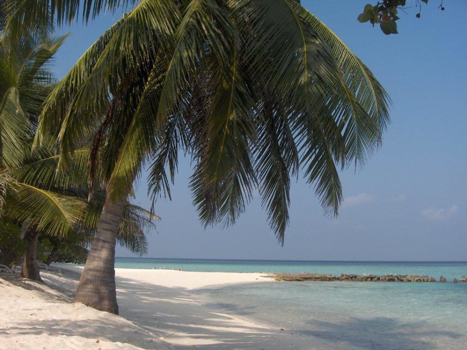 Einfach traumhaft! Summer Island Maldives